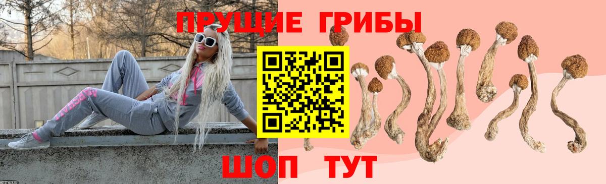 Псилоцибиновые грибы прущие грибы  Псилоцибиновые грибы Magic Shrooms  Вход с VPN  Клинцы 